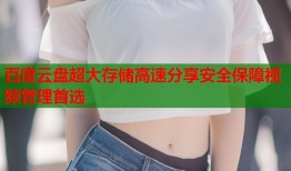 百度云盘超大存储高速分享安全保障视频管理首选